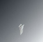 Phoenix FBST   4-5